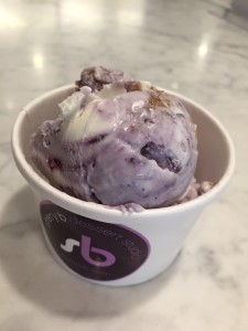 Blueberry Crisp Ice Cream