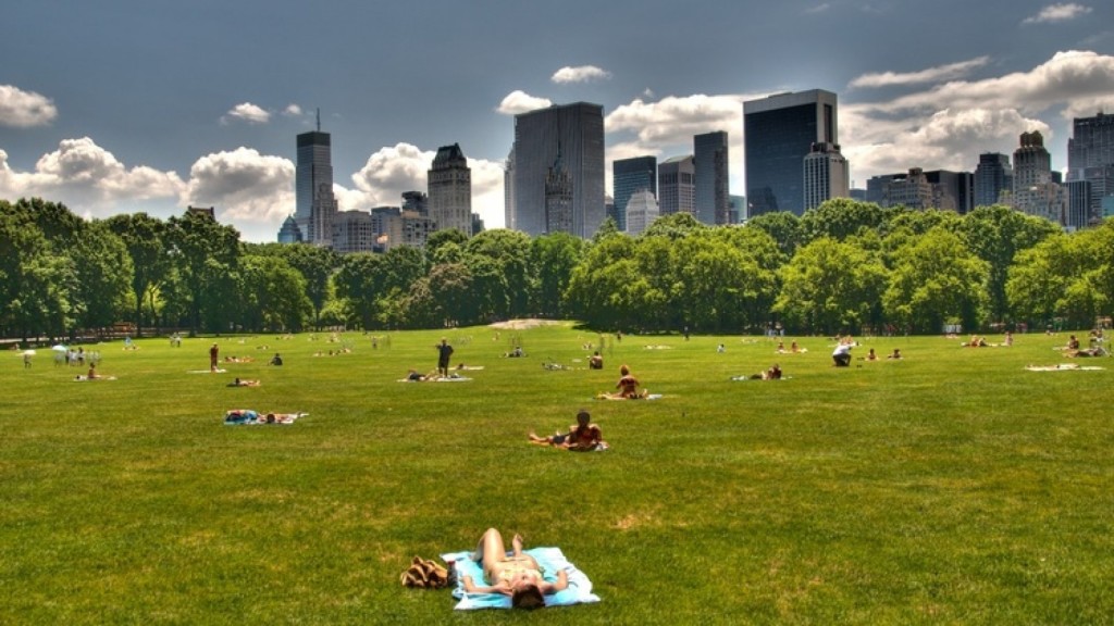 The best sunbathing spots in NYC