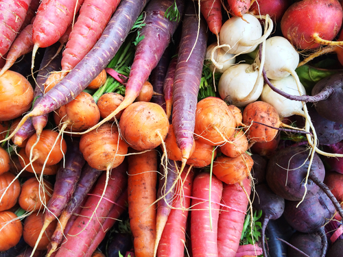 Colorful root vegetables. Carrots, beetroots, turnips. Autumn market.