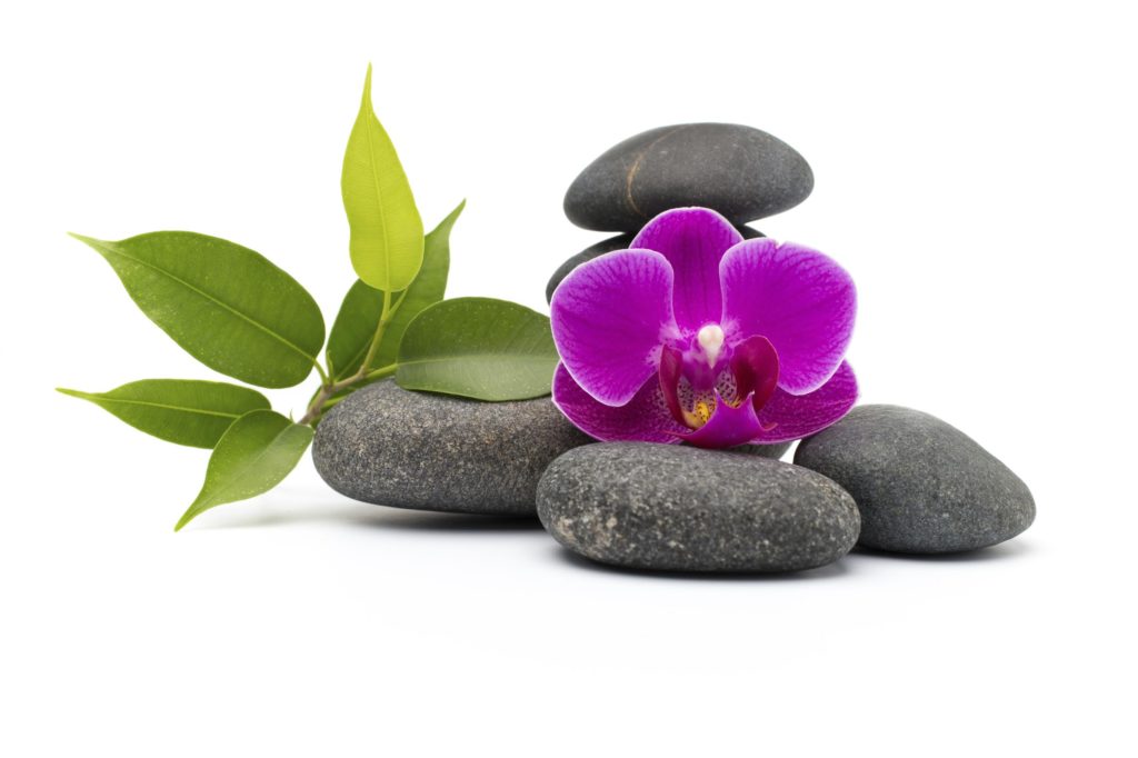 Spa stones and pink orchid isolated background.
