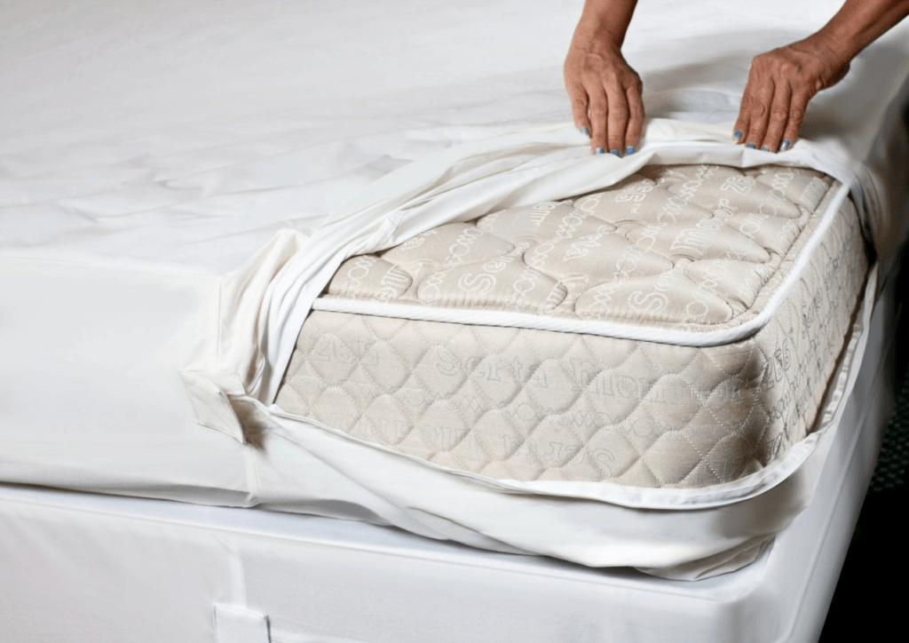 Bed Bug Mattress Covers: What You Need to Know - Stacyknows