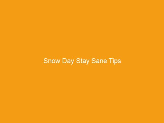 Snow Day Stay Sane Tips