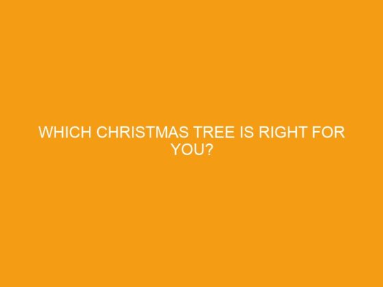 WHICH CHRISTMAS TREE IS RIGHT FOR YOU?