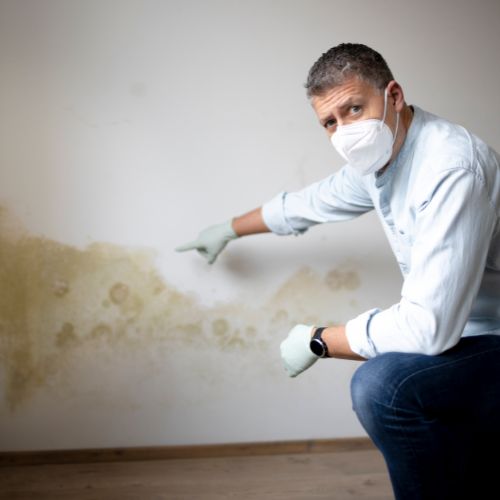 4 Signs of Excessive Moisture in Your Home