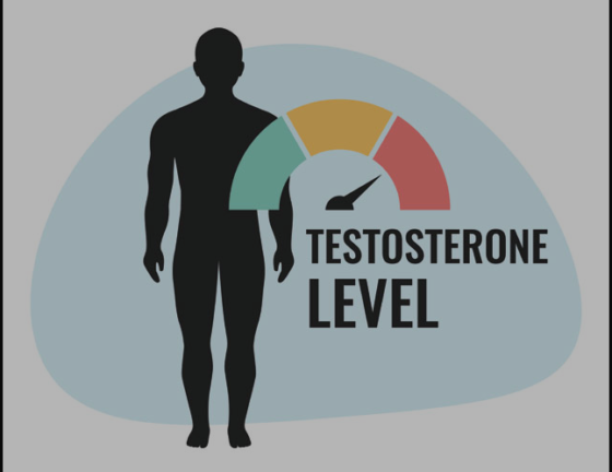 The Role of Testosterone in Hormonal Balance and Health