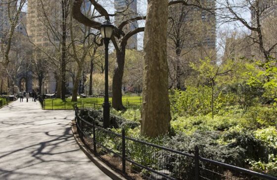A trail in Central Park next to trees, bushes, and buildings in the background