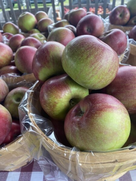 Apples from Outhouse Orchards North Salem NY