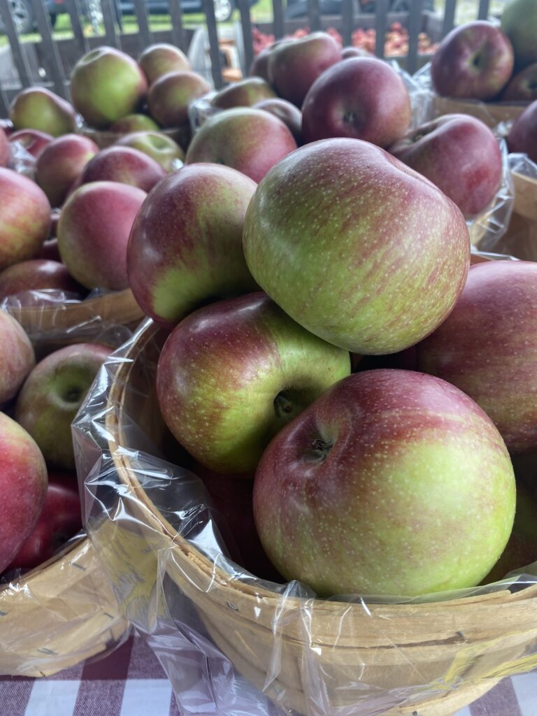 Apples from Outhouse Orchards North Salem NY