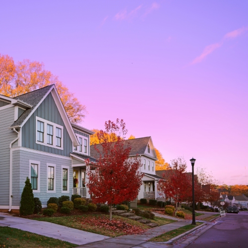 A suburban road lined with houses with autumn trees and multicolored leaves with a pink and purple sky at dusk.