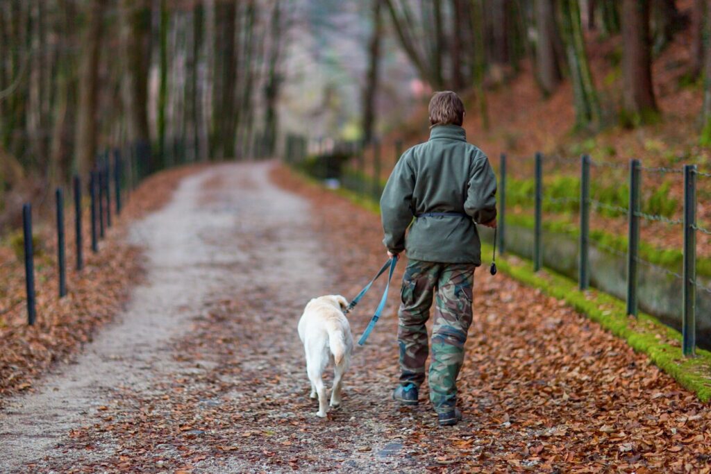 dog walker