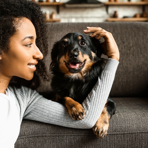 Smiling woman relaxing on a couch while gently petting her happy dog in a cozy and comfortable home living room setting.