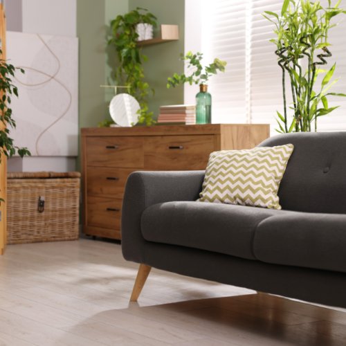 A living room space with a gray sofa and plants all around. There is a chest in the corner of the room behind the sofa.