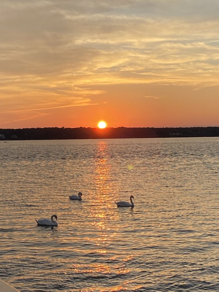 Hamptons