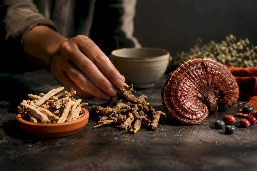 Adaptogenic roots and reishi mushroom arranged