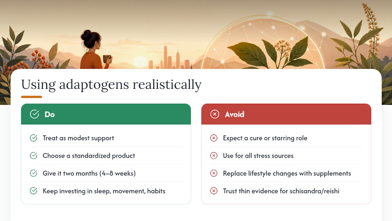 A Realistic Take on Adaptogens for Stress — overview diagram