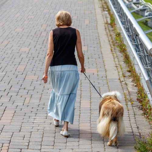 The backside of a woman in a black sleeveless top and long blue skirt walking beside a fluffy dog on a brick path.