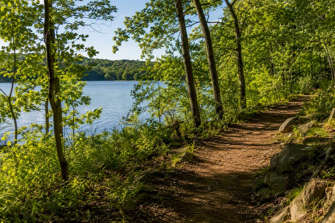 Woodland trail beside Teatown Lake