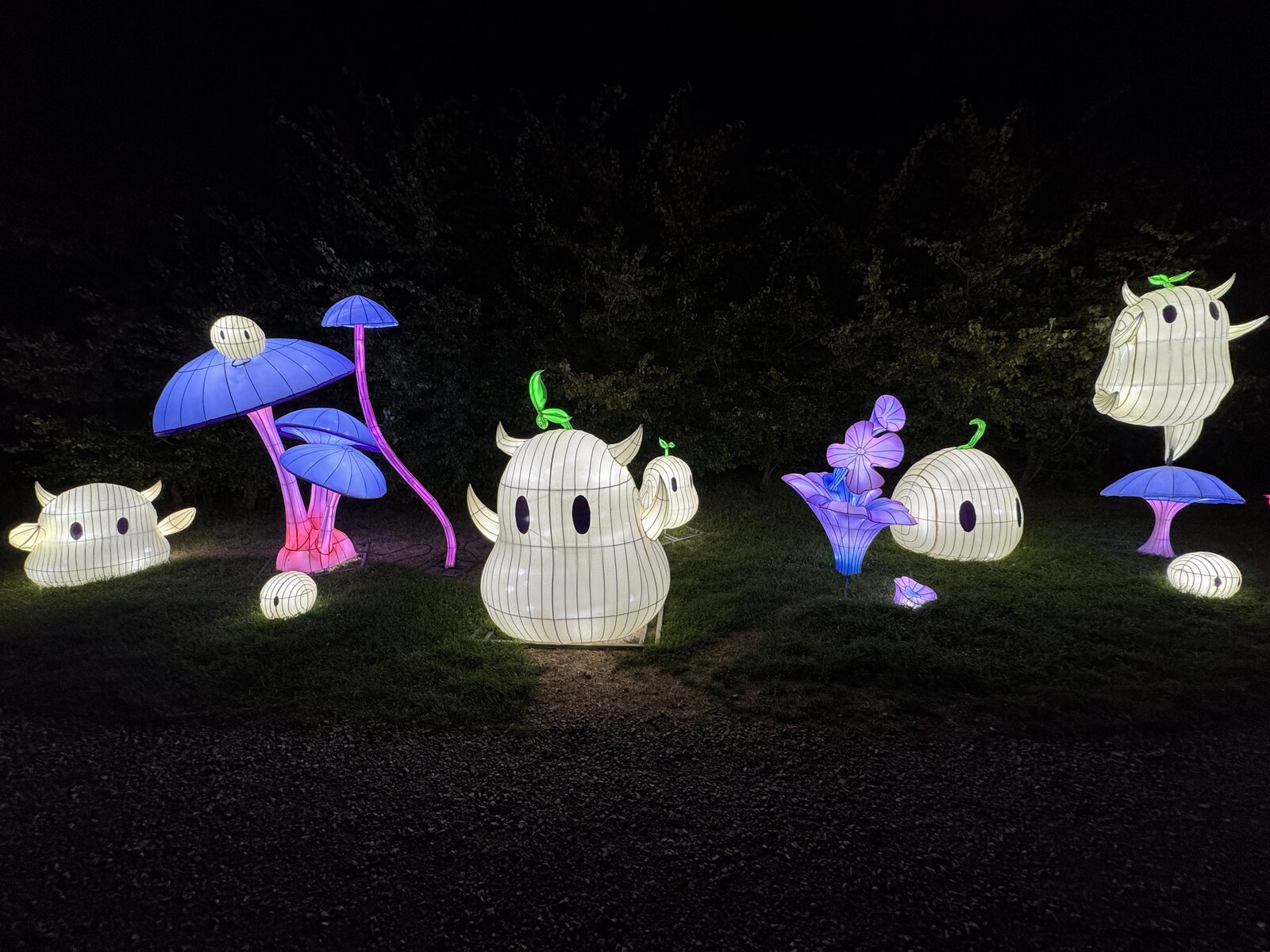 Winter Lantern Festival lantern display